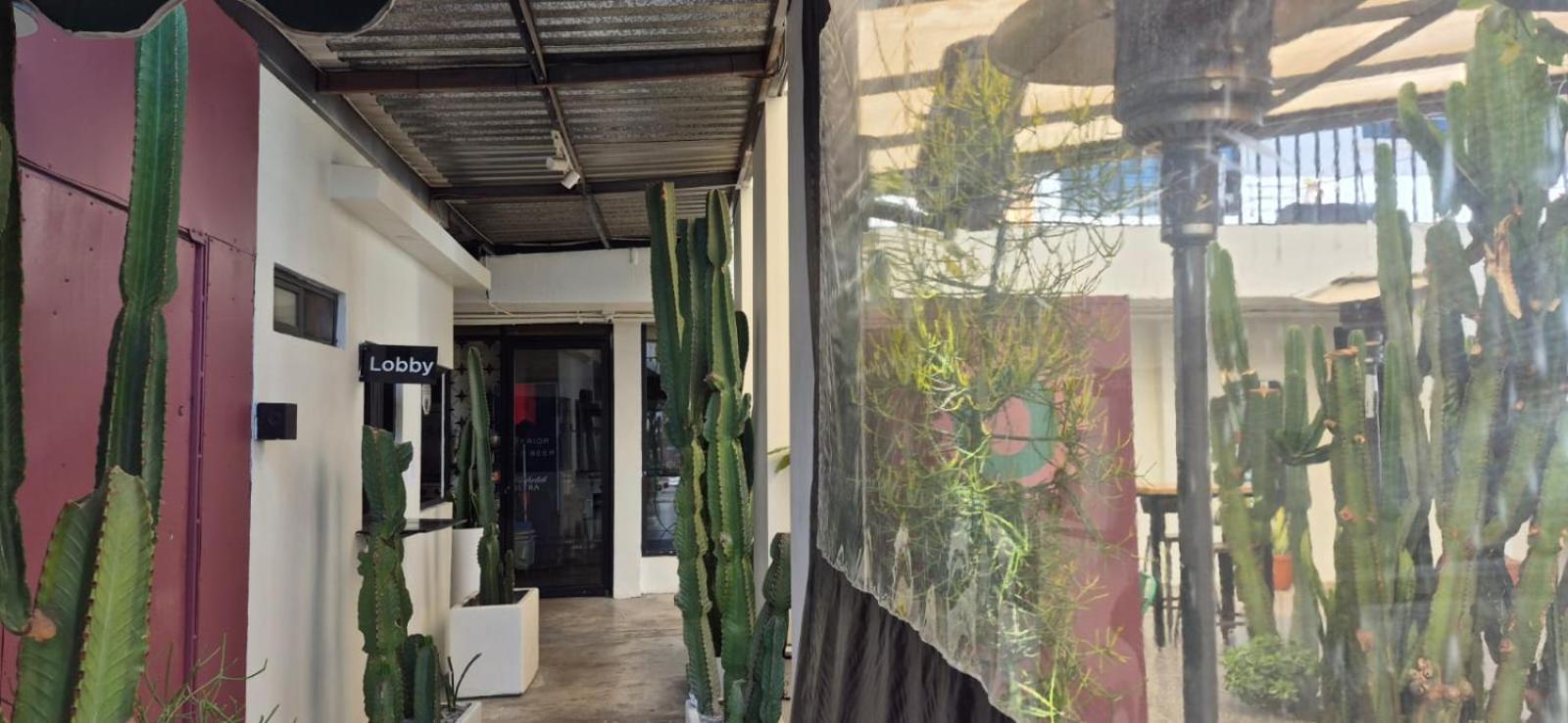 Coyote Lofts-estacion Federal Hotel Tijuana